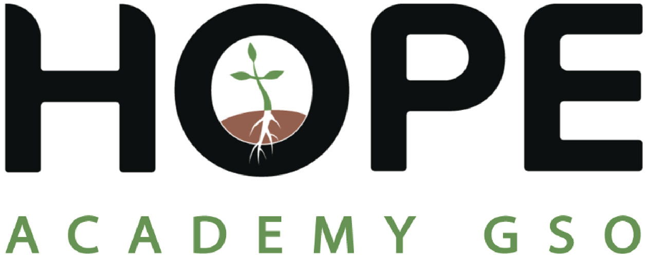 Hope Academy Logo - Original
