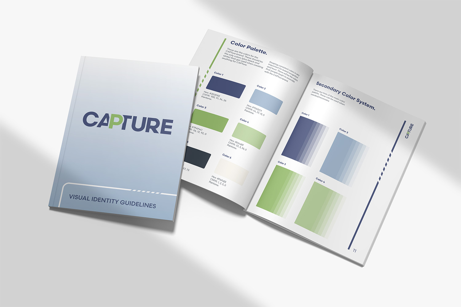 Shamus Design - Capture - Style Guide Mock Up